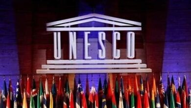 UNESCO Home-Based Consultancy Opportunities 2025 | Remote Roles in Culture, Education & Science